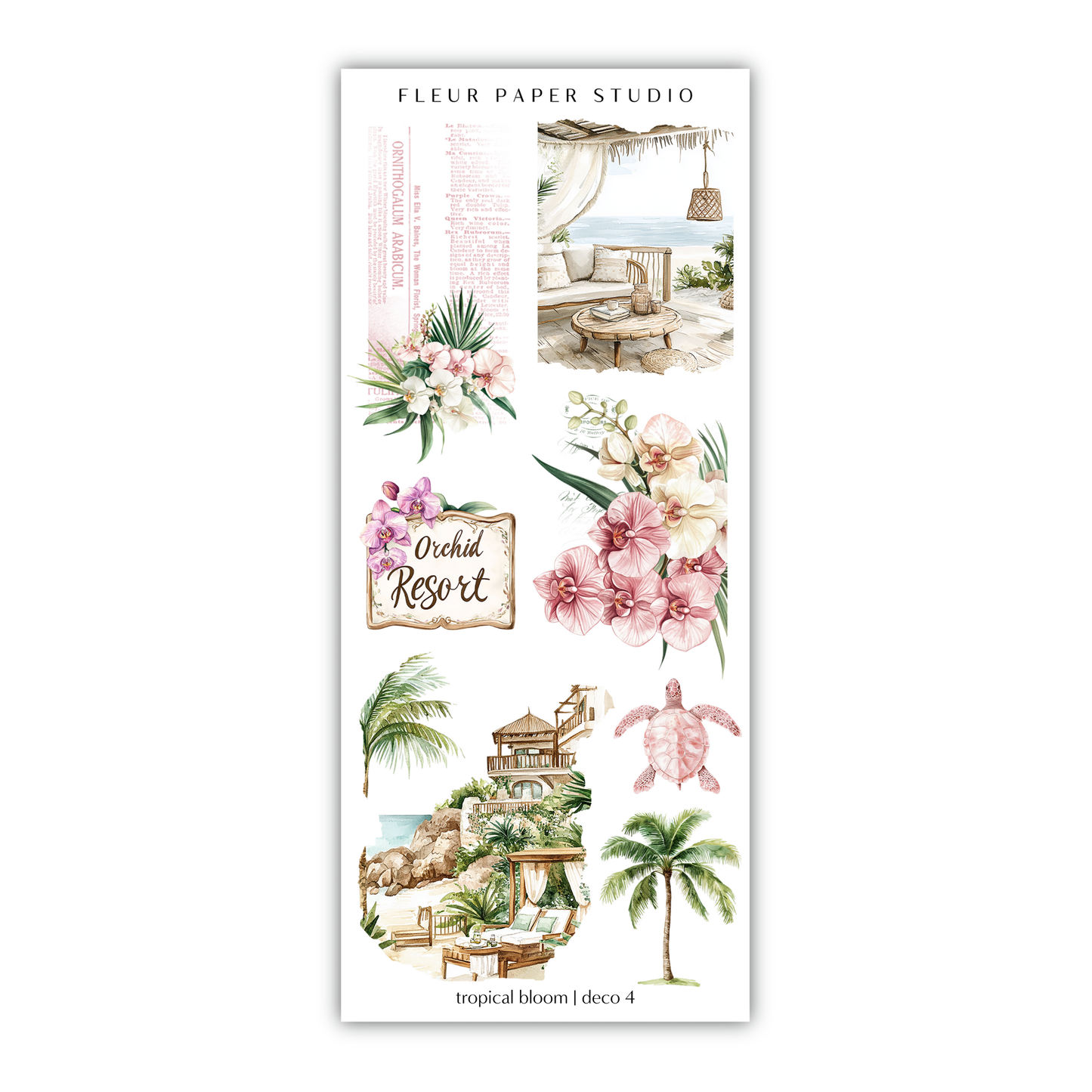 Tropical Bloom | Decorative Kit