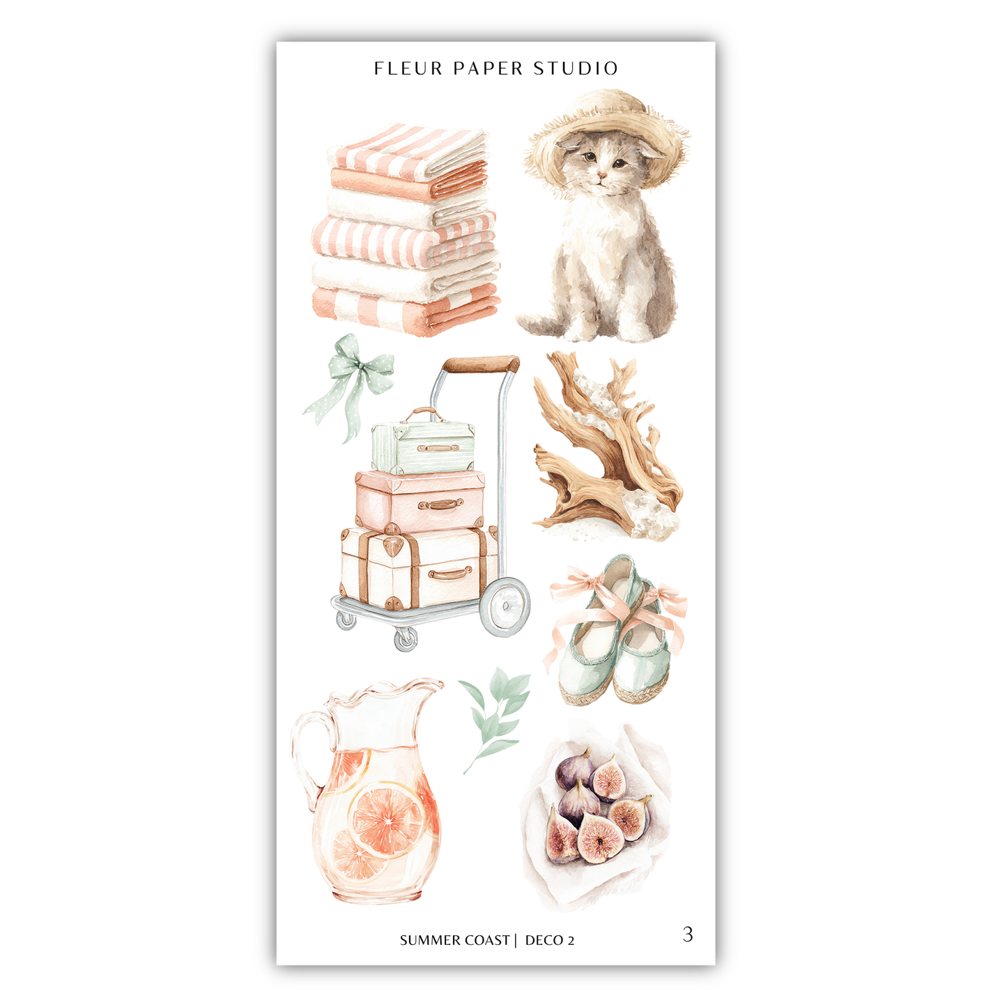 The image is a collage of various summer-themed items, including towels, a cat, a suitcase, a water pitcher, a basket of fruit, and a pair of shoes.