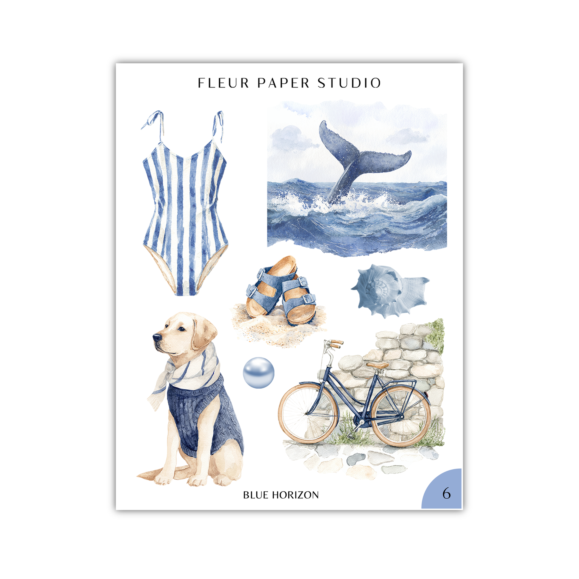 The image is a collage of various objects and scenes, including a striped swimsuit, a whale, a bicycle, a dog, and a beach.